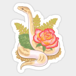 Pilot the Ball Python Sticker